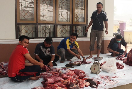Potong Qurban
